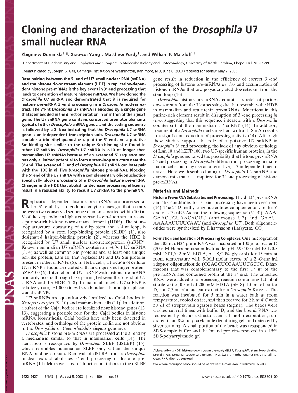 Cloning and Characterization of the Drosophila U7 Small Nuclear RNA