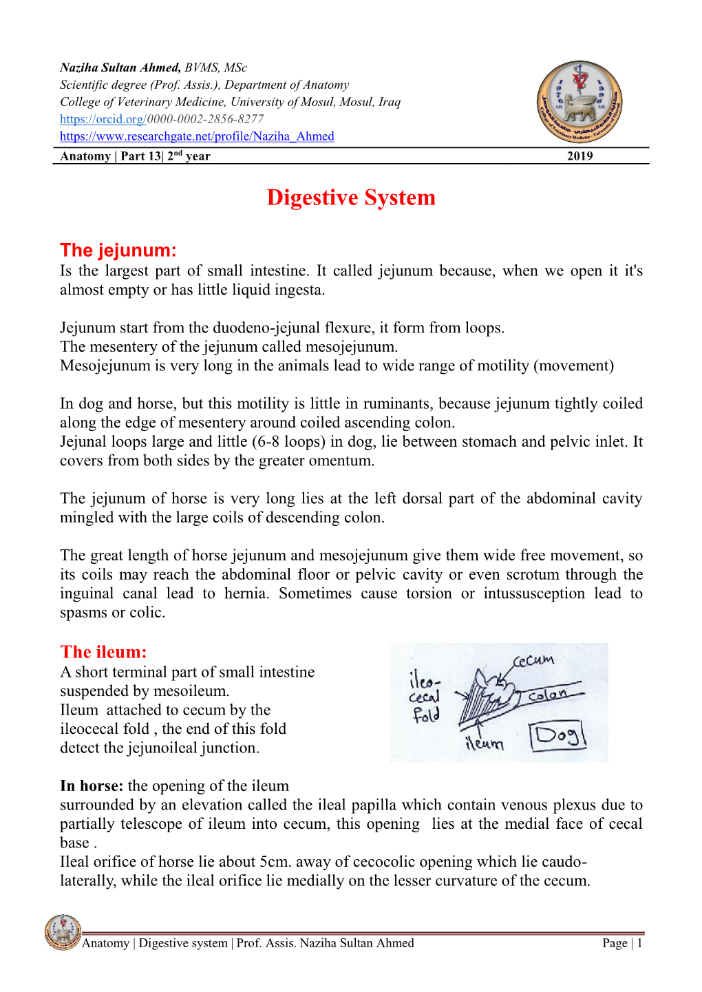 Digestive System