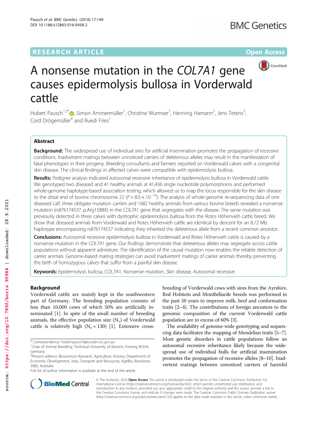 A Nonsense Mutation in the COL7A1 Gene Causes Epidermolysis Bullosa in Vorderwald Cattle