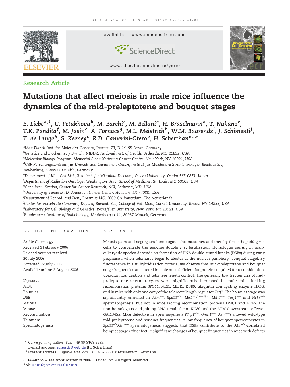 Mutations That Affect Meiosis in Male Mice Influence the Dynamics of the Mid-Preleptotene and Bouquet Stages