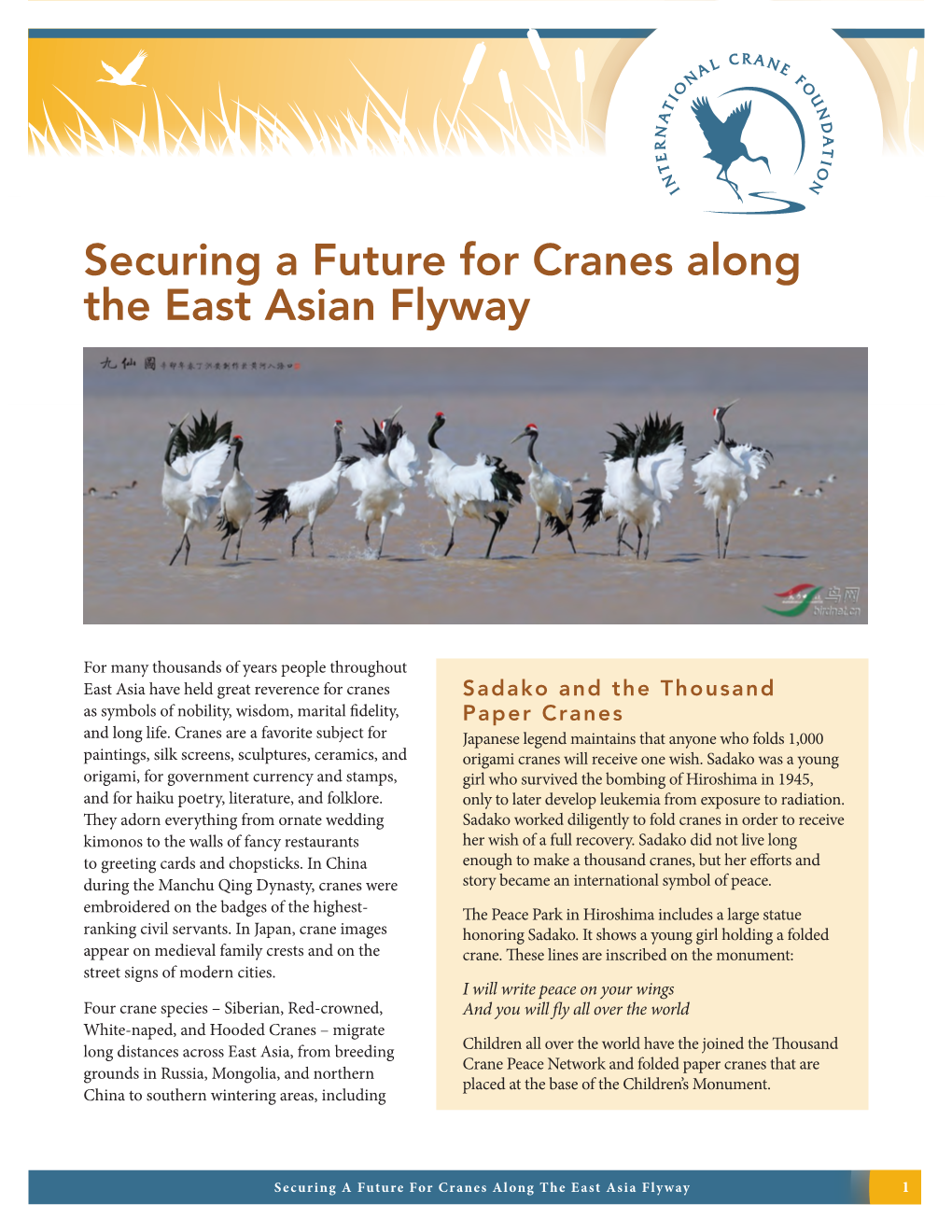 Securing a Future for Cranes Along the East Asian Flyway