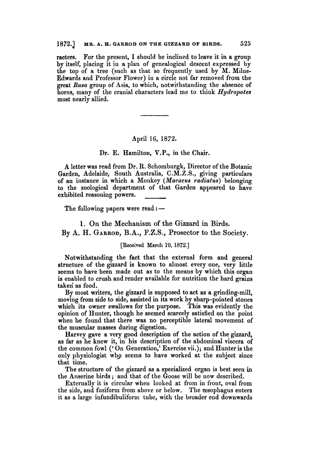 1. on the Mechanism of the Gizzard in Birds. by A. H. GARROD, B.A