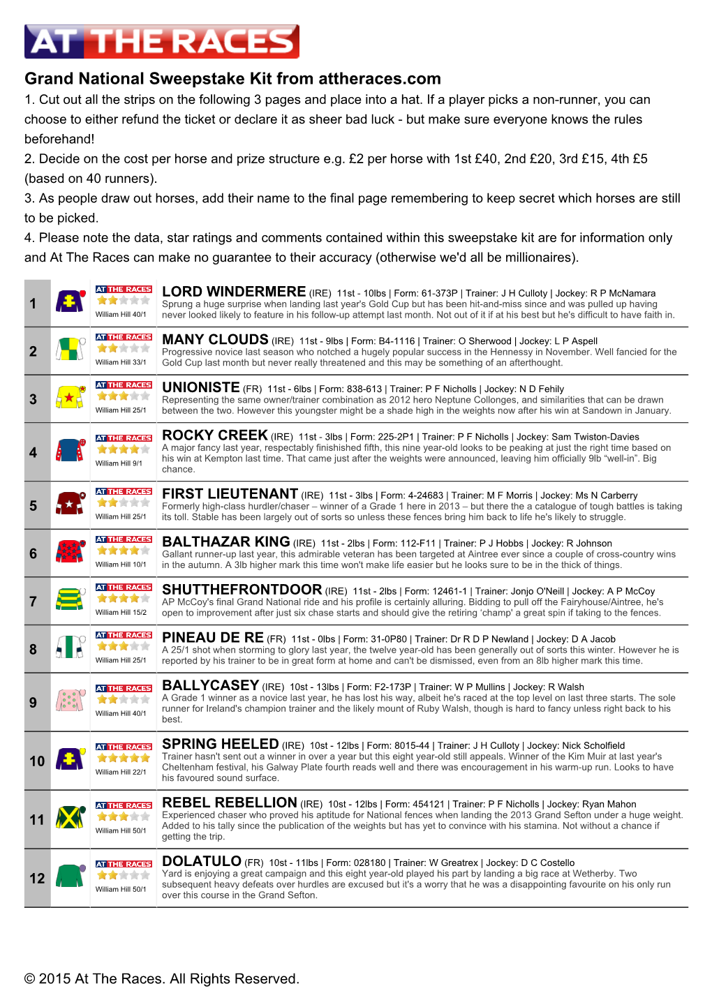 At the Races Grand National Sweepstake