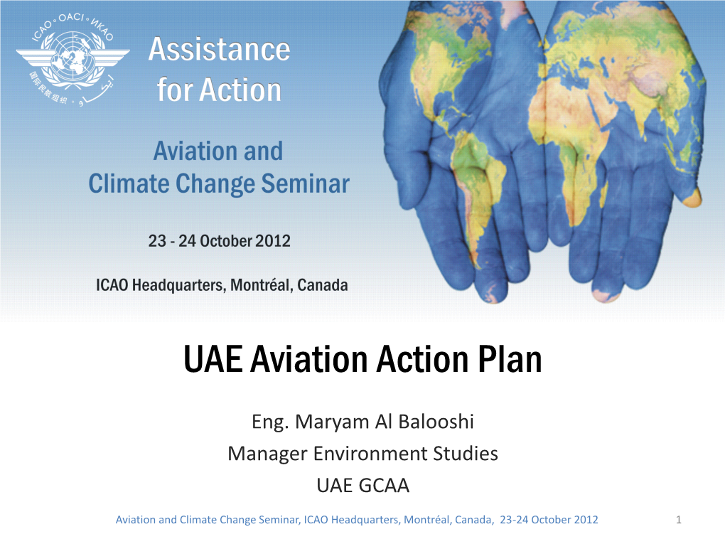 UAE Aviation Action Plan