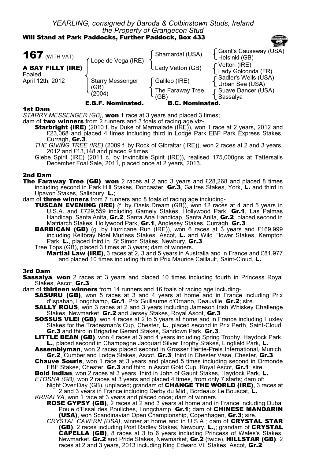 YEARLING, Consigned by Baroda & Colbinstown Studs, Ireland The