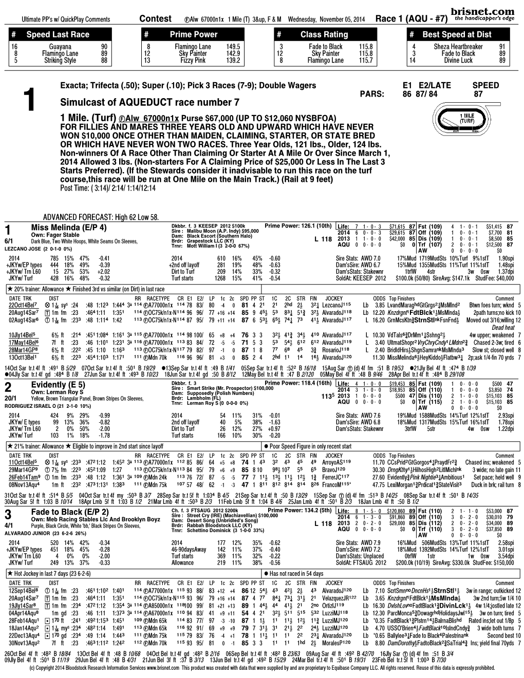 Simulcast of AQUEDUCT Race Number 7 1 Mile