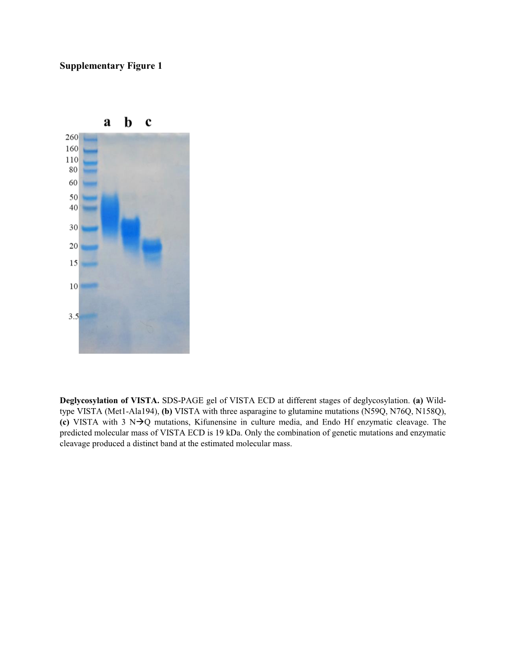 Supplementary Figure 1