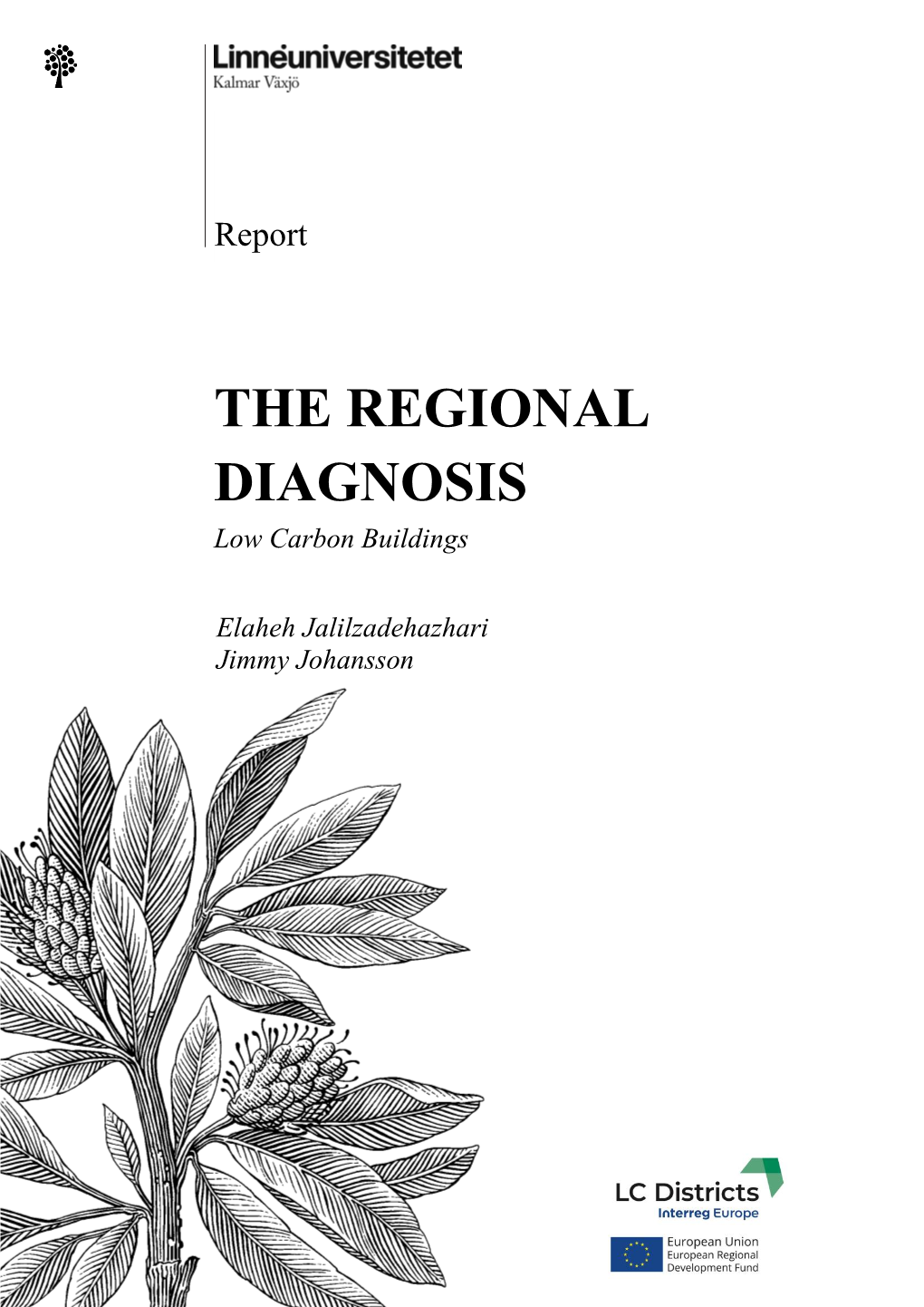 THE REGIONAL DIAGNOSIS Low Carbon Buildings