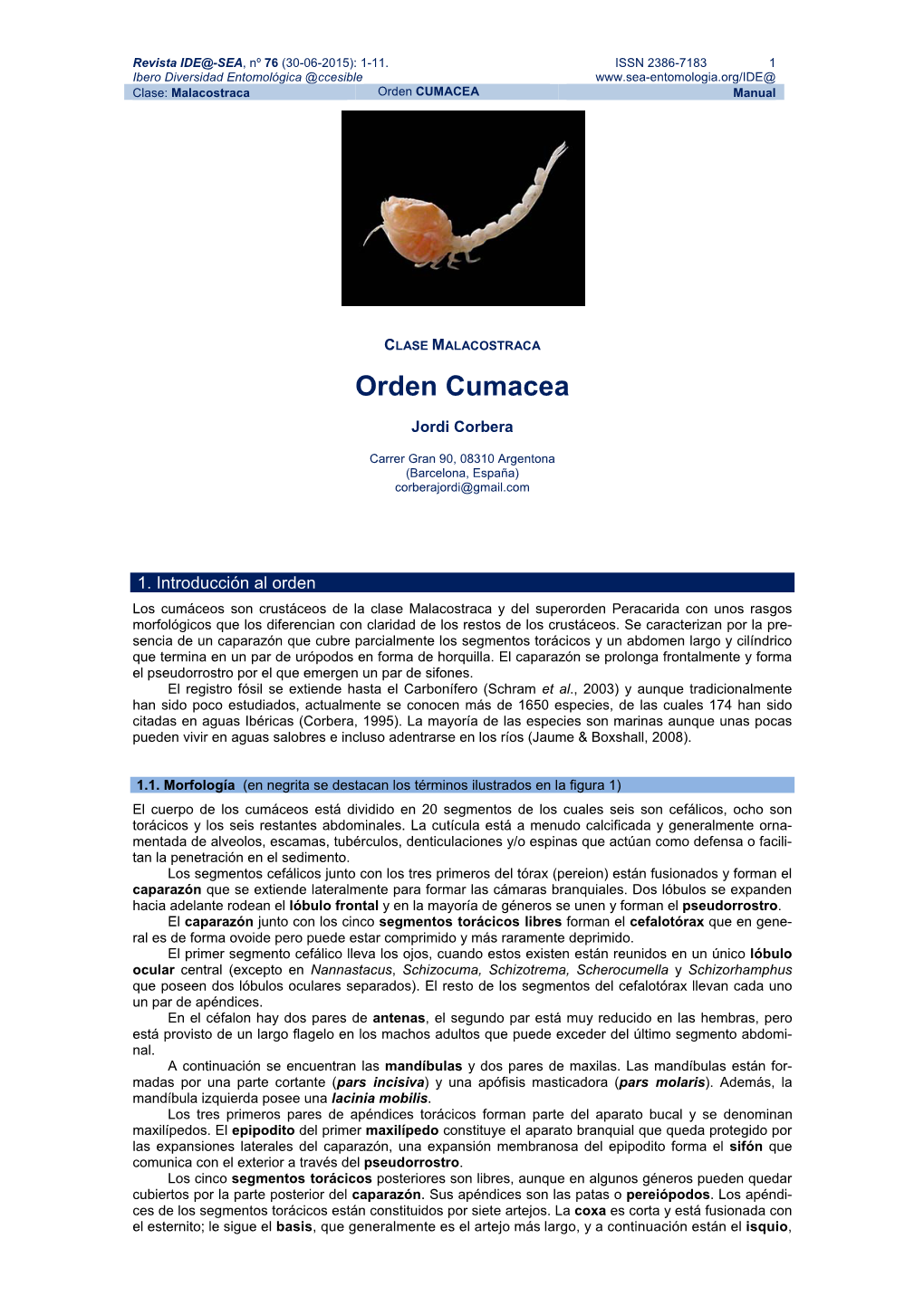 Orden CUMACEA Manual