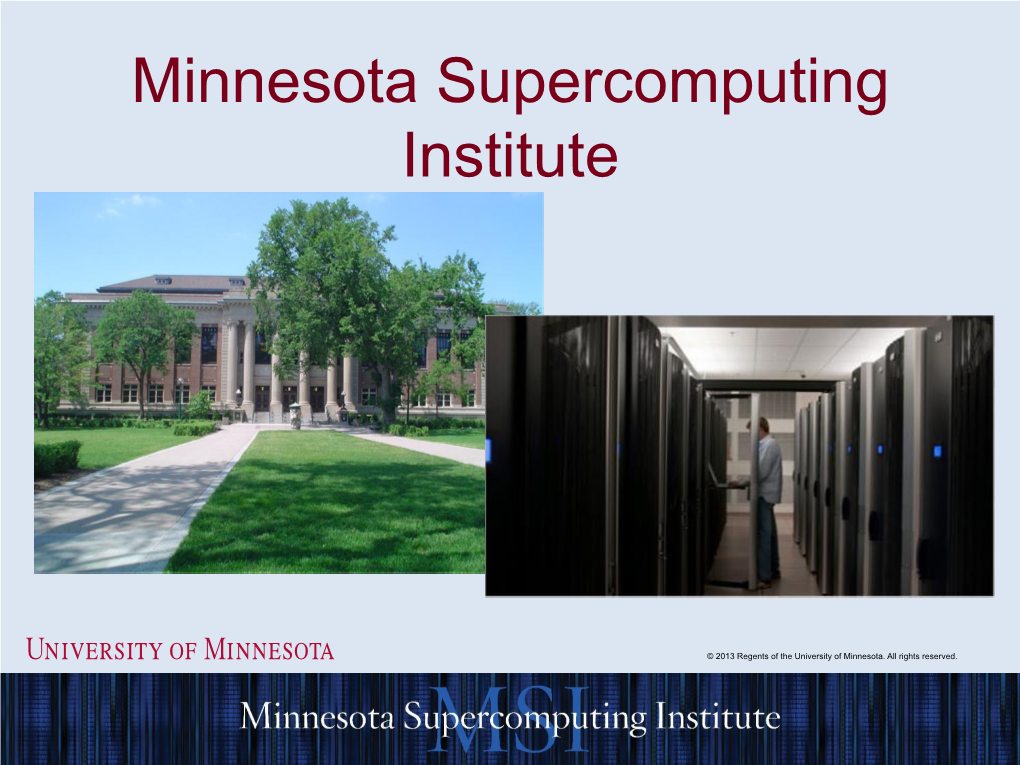 The Minnesota Supercomputing Institute