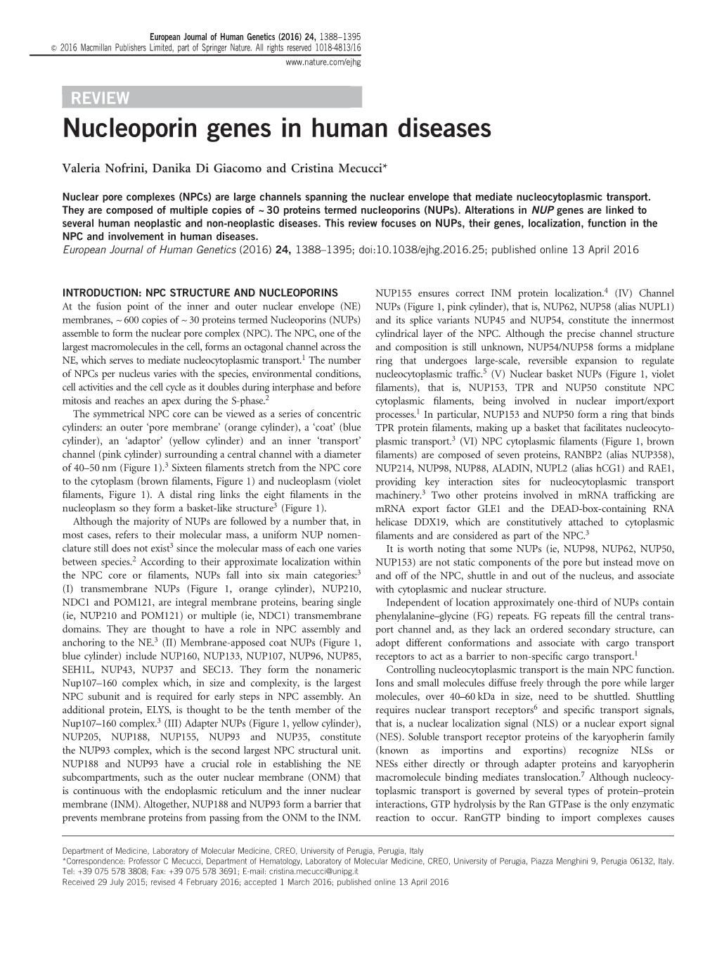 Nucleoporin Genes in Human Diseases