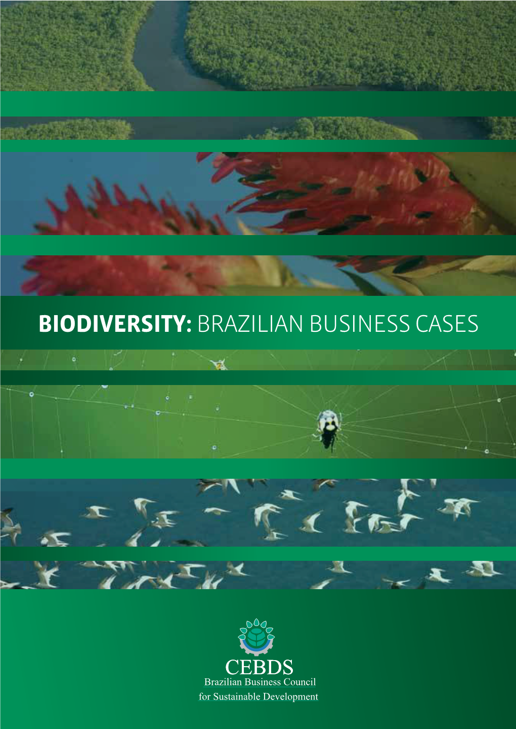 Biodiversity:Brazilian Business Cases