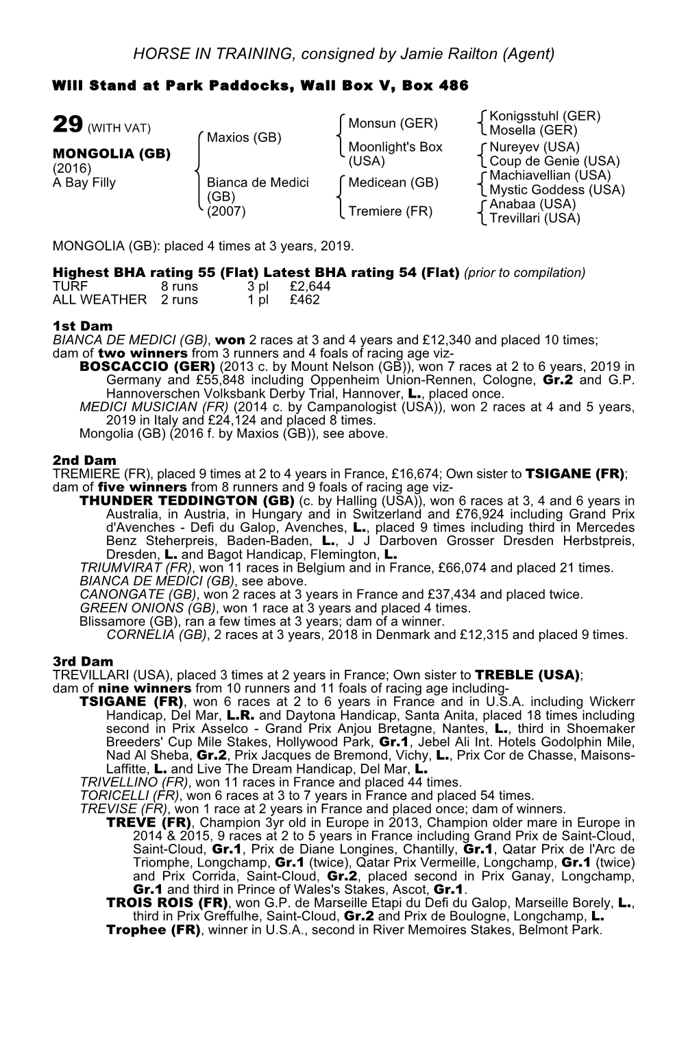 HORSE in TRAINING, Consigned by Jamie Railton (Agent)