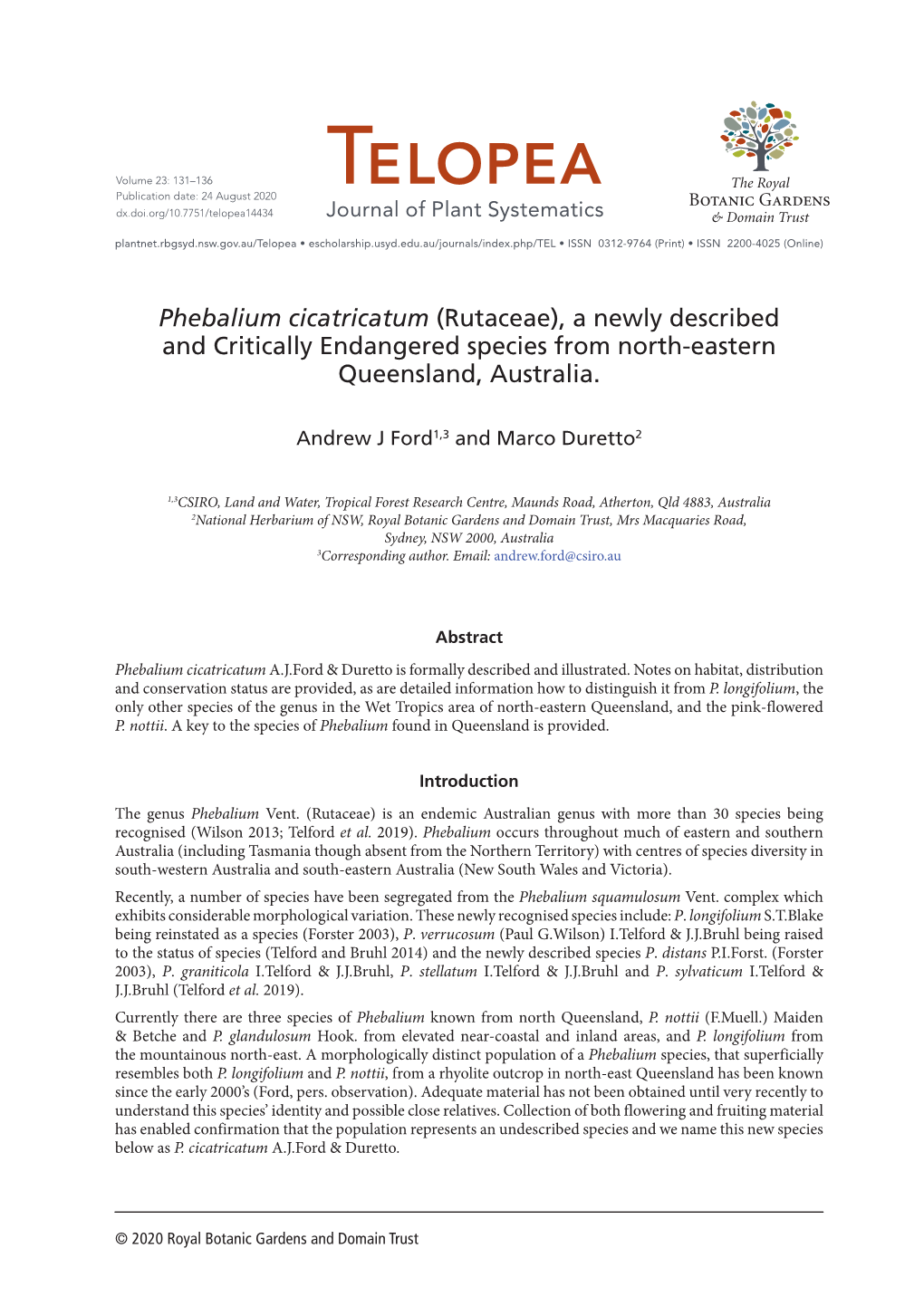 Phebalium Cicatricatum (Rutaceae), a Newly Described and Critically Endangered Species from North-Eastern Queensland, Australia