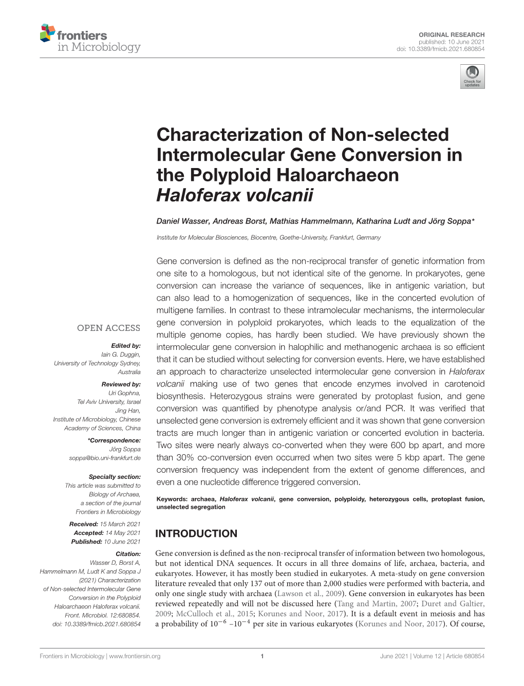 Characterization of Non-Selected Intermolecular Gene Conversion in the Polyploid Haloarchaeon Haloferax Volcanii