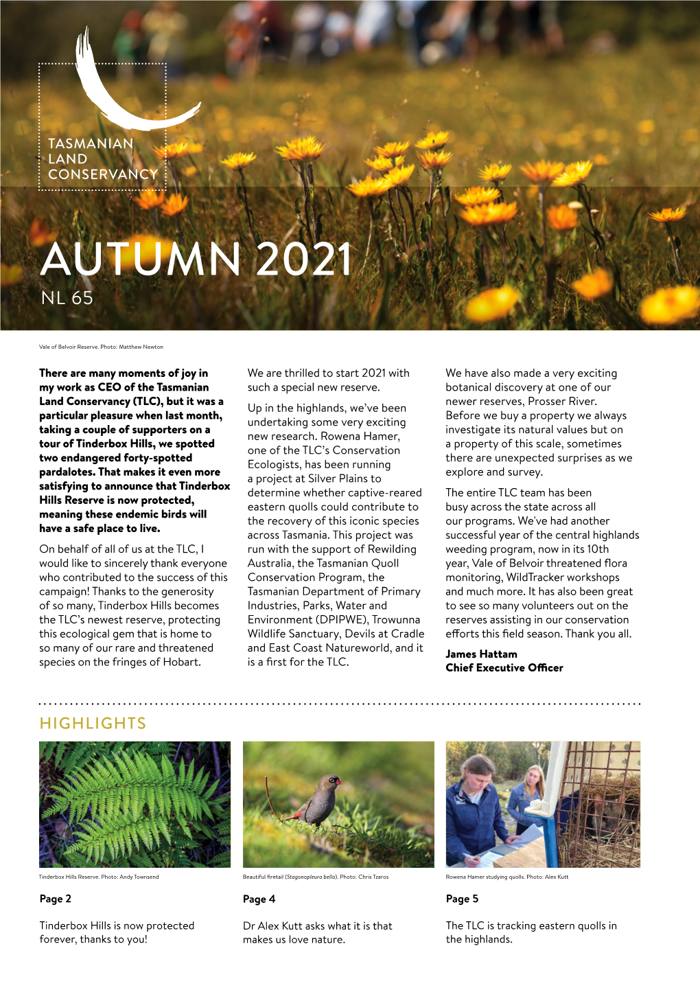 Autumn 2021 Nl 65