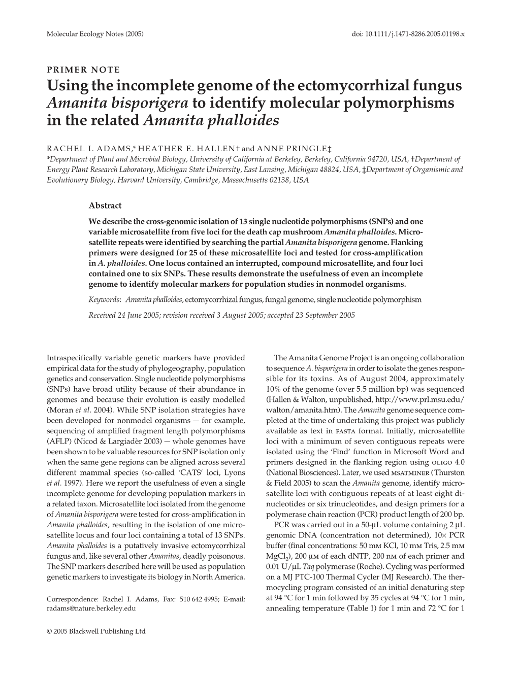 Using the Incomplete Genome of the Ectomycorrhizal Fungus Amanita Bisporigera to Identify Molecular Polymorphisms in the Related