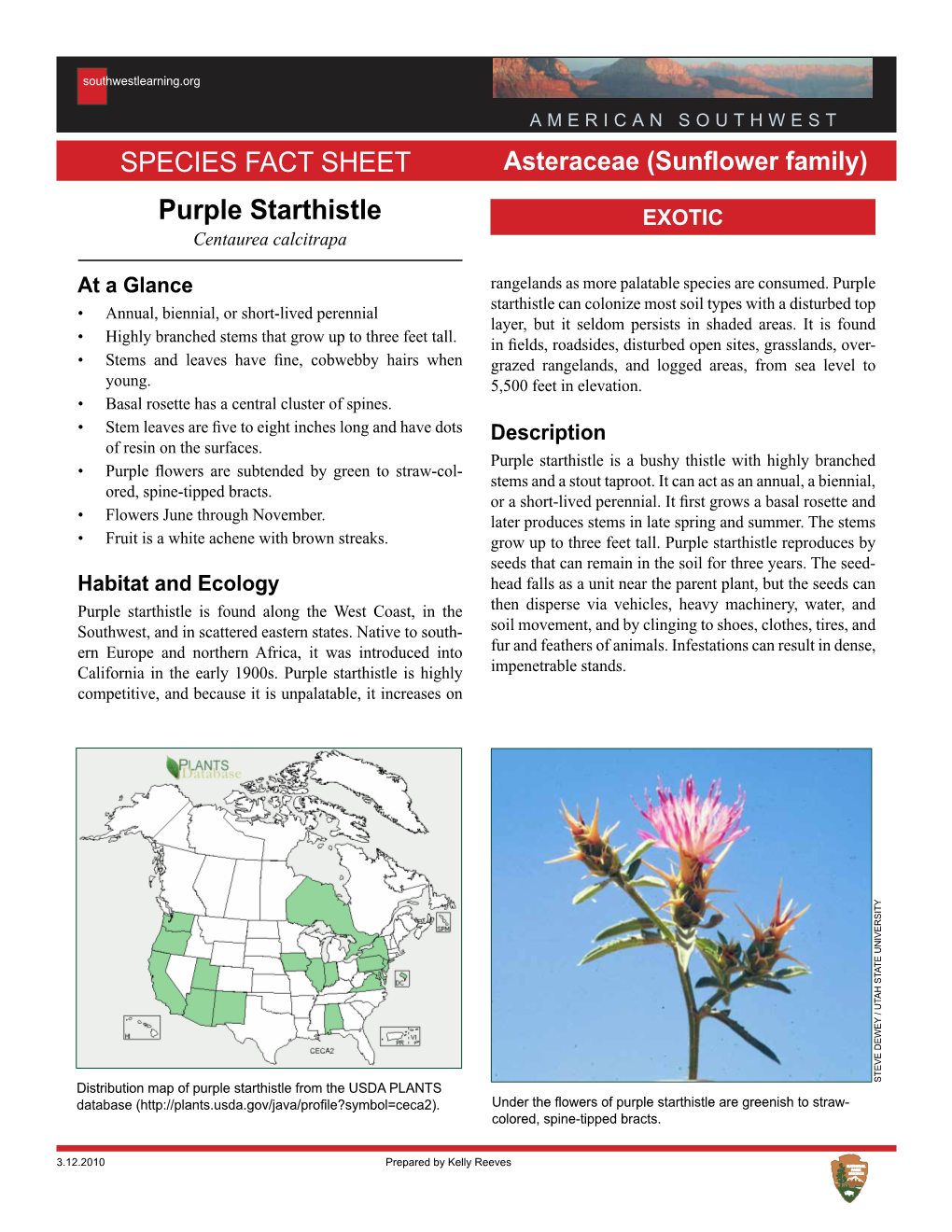 Purple Starthistle Species Fact Sheet