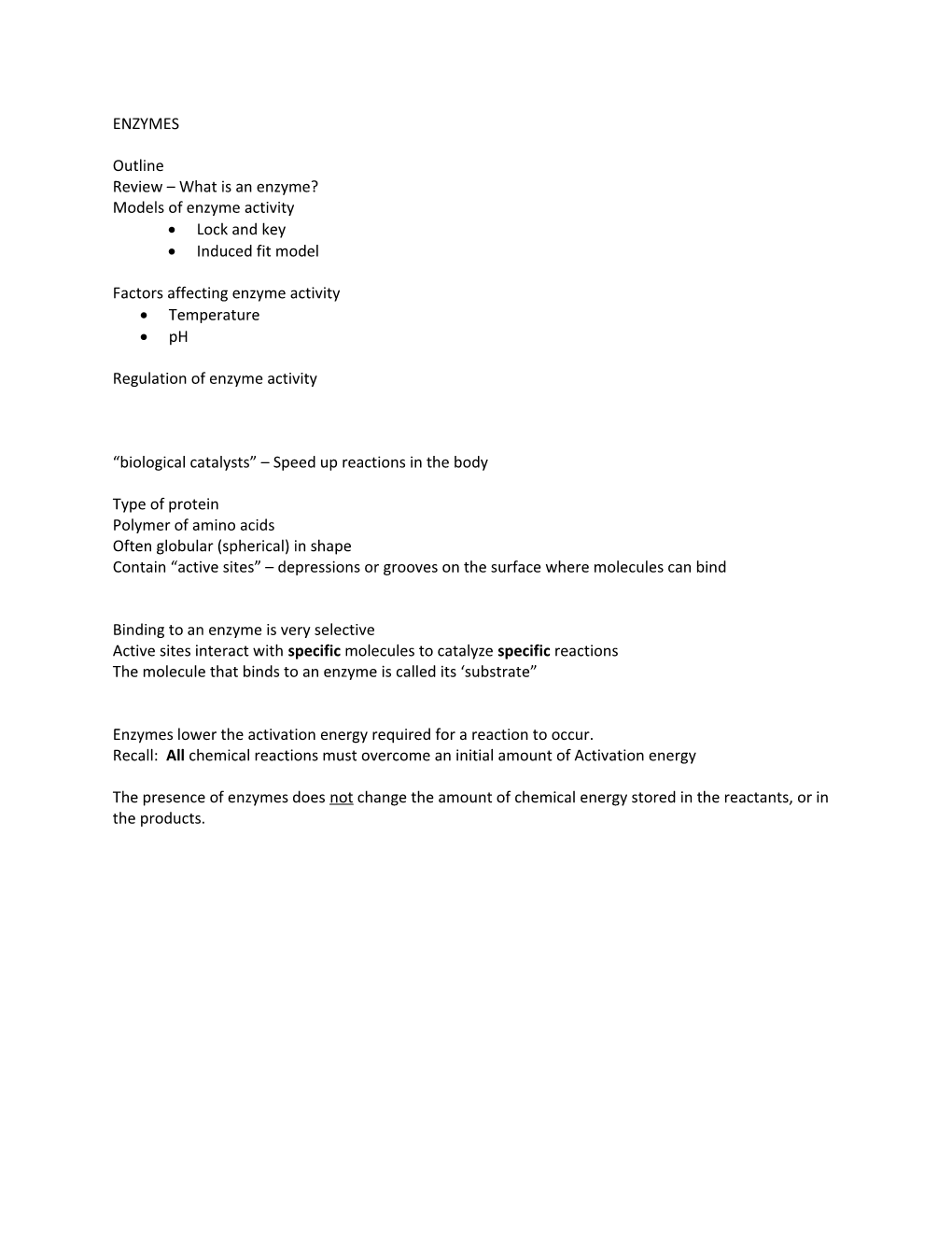 Review What Is an Enzyme?