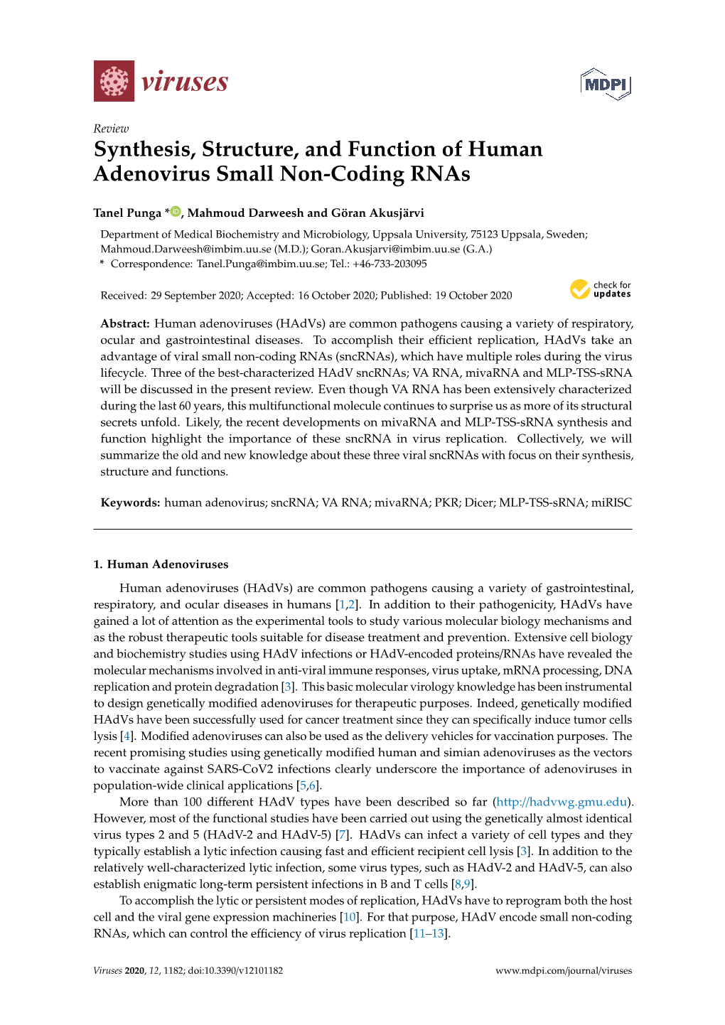Synthesis, Structure, and Function of Human Adenovirus Small Non-Coding Rnas