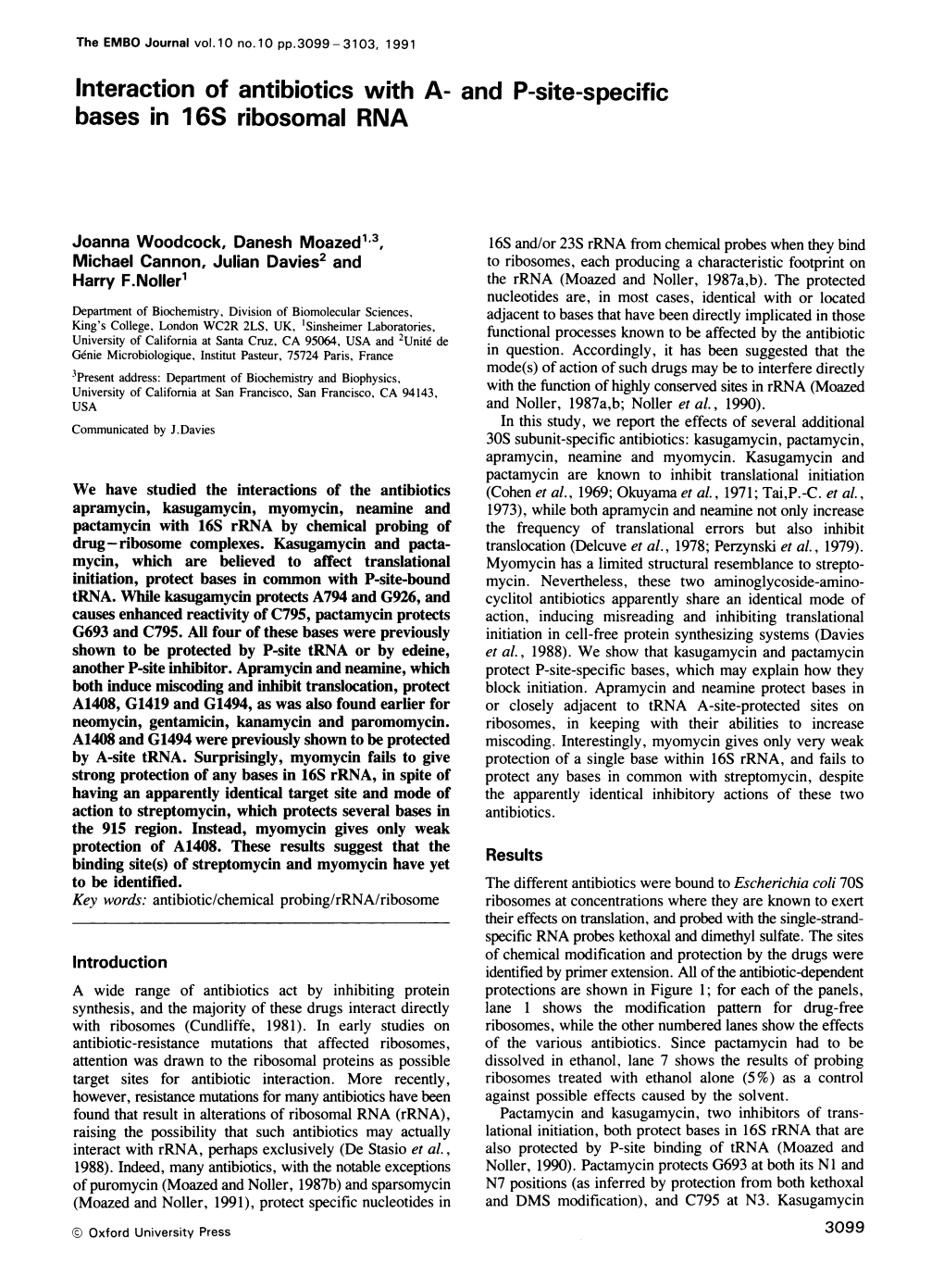 Bases in 16S Ribosomal RNA