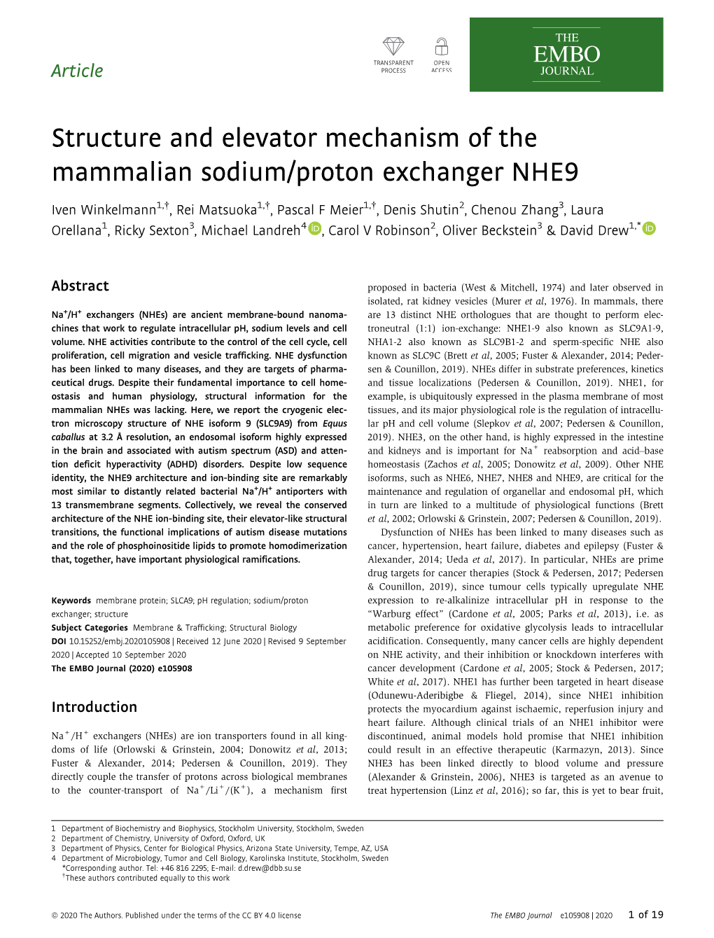 Structure and Elevator Mechanism of the Mammalian Sodium/Proton Exchanger NHE9