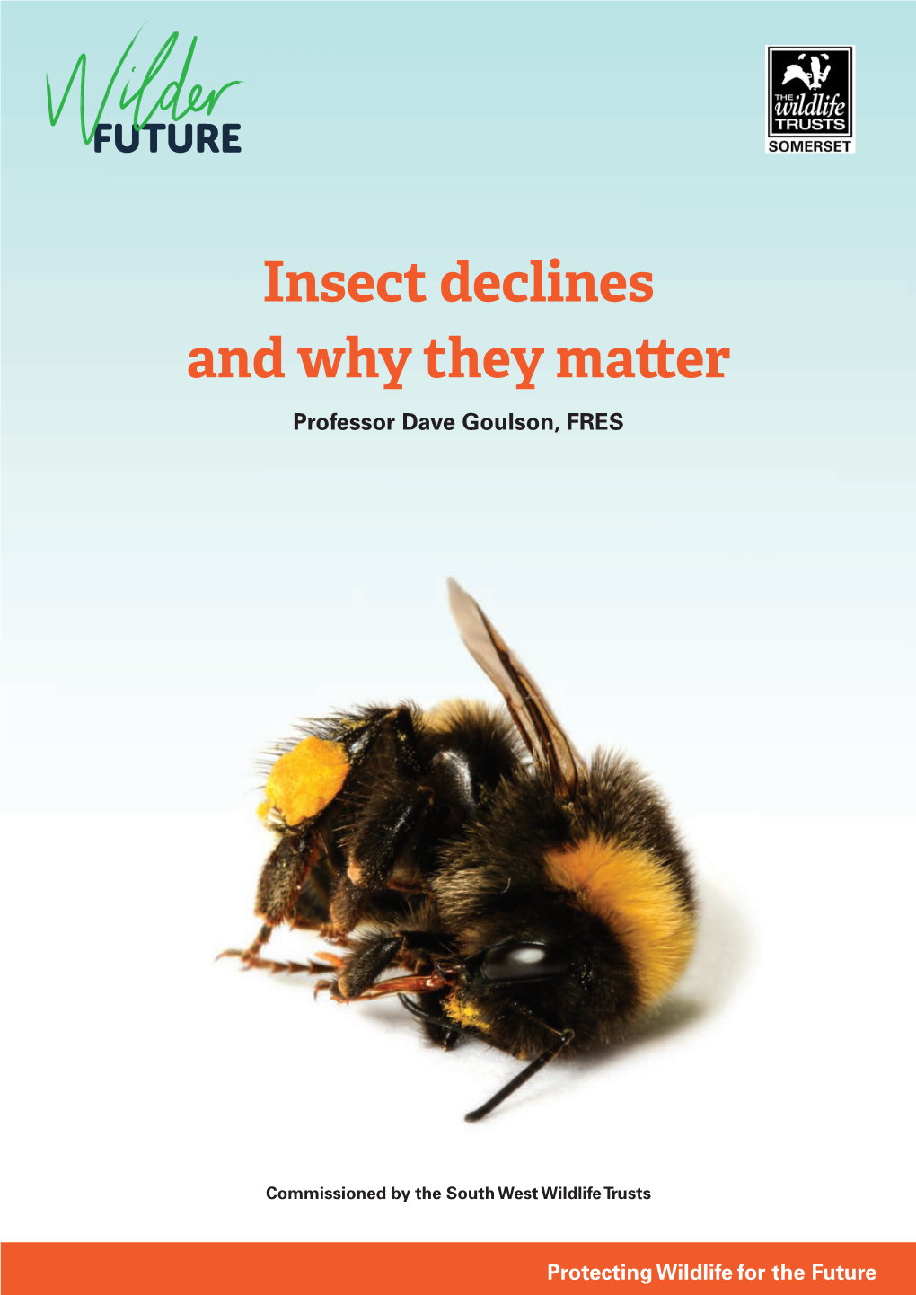 Insect Declines and Why They Matter Professor Dave Goulson, FRES