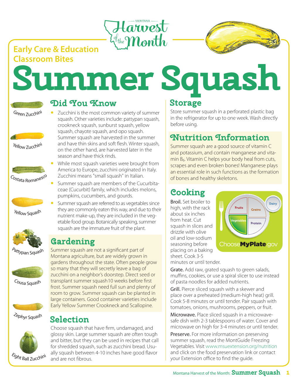 Classroom Bites Summer Squash Did You Know Storage • Zucchini Is the Most Common Variety of Summer Store Summer Squash in a Perforated Plastic Bag Squash