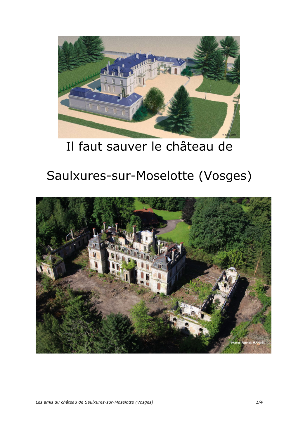 Il Faut Sauver Le Chteau De Saulxures-Sur-Moselotte