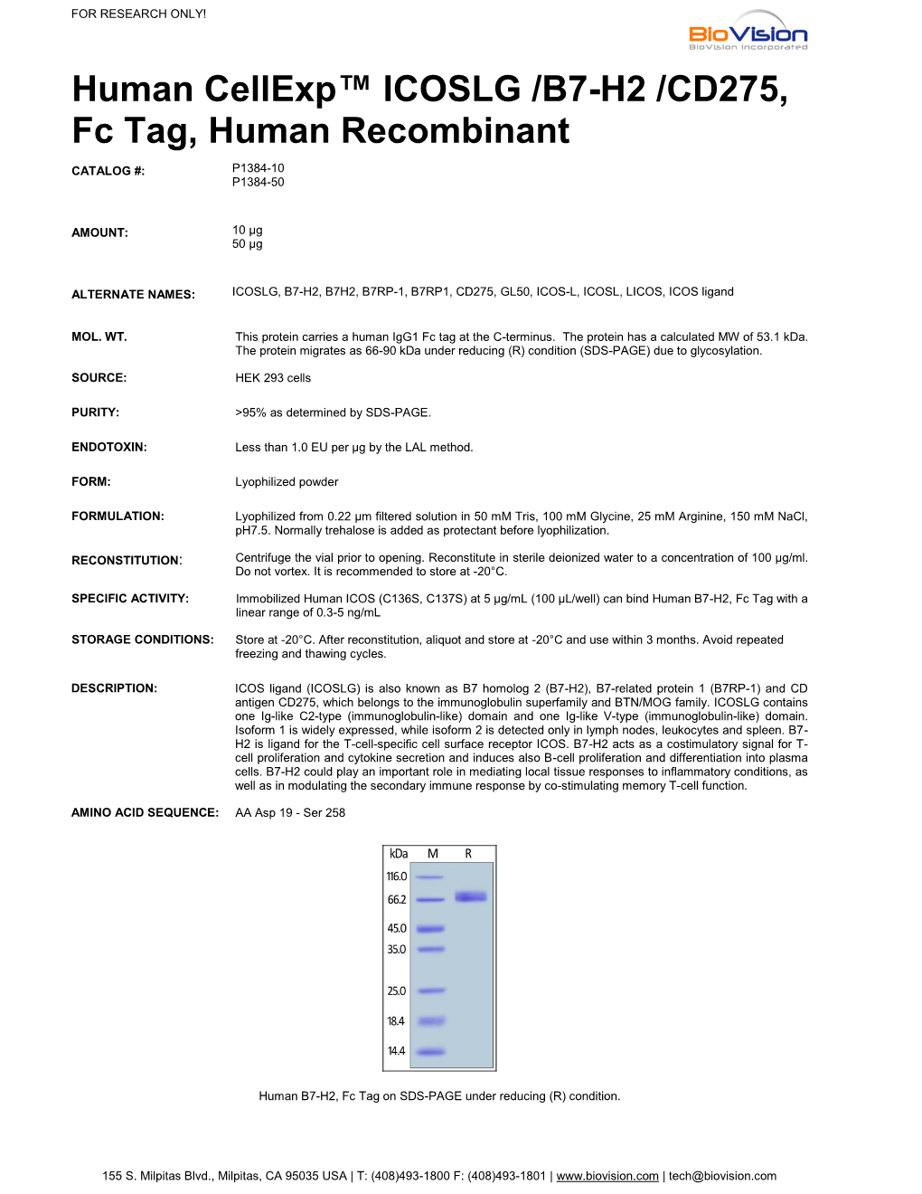 P1384-Human Cellexp B7-H2/ICOSLG/CD275, Human