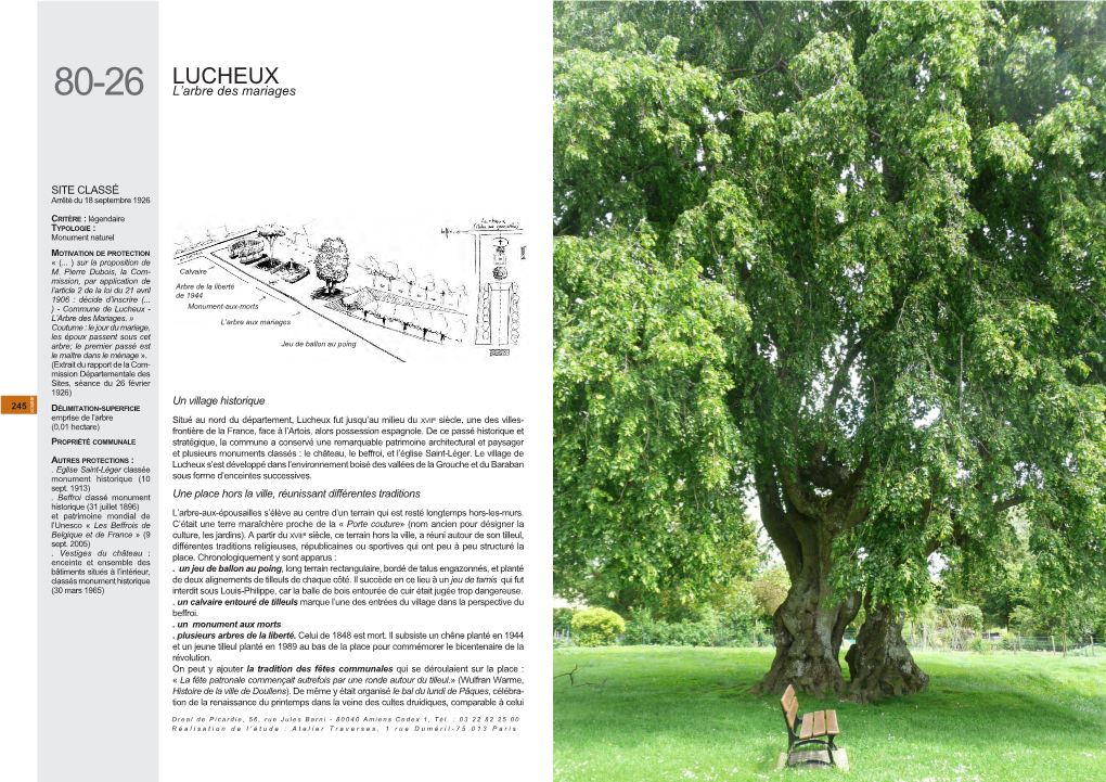 LUCHEUX 80-26 L’Arbre Des Mariages