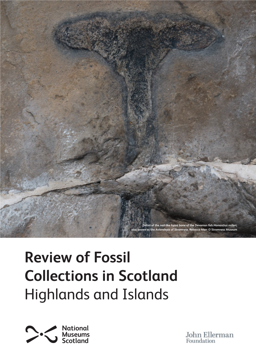 Review of Fossil Collections in Scotland Highlands and Islands Highlands and Islands