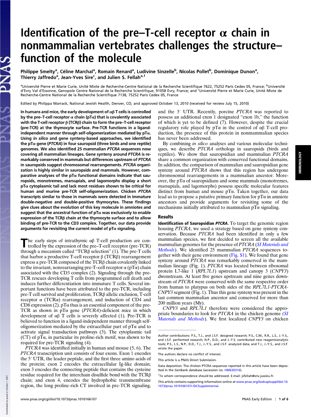 Identification of the Pre–T-Cell Receptor Α Chain in Nonmammalian