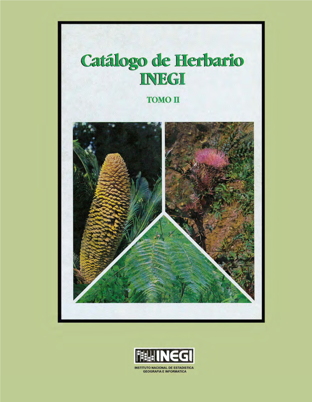 Catálogo De Herbario. INEGI. Tomo II