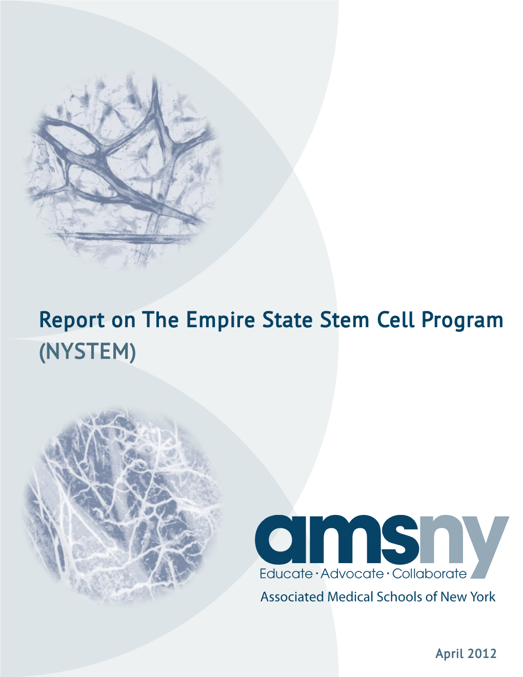 Report on the Empire State Stem Cell Program (NYSTEM)