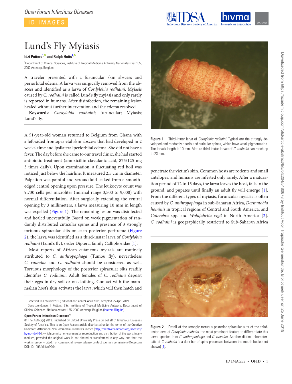 Lund's Fly Myiasis