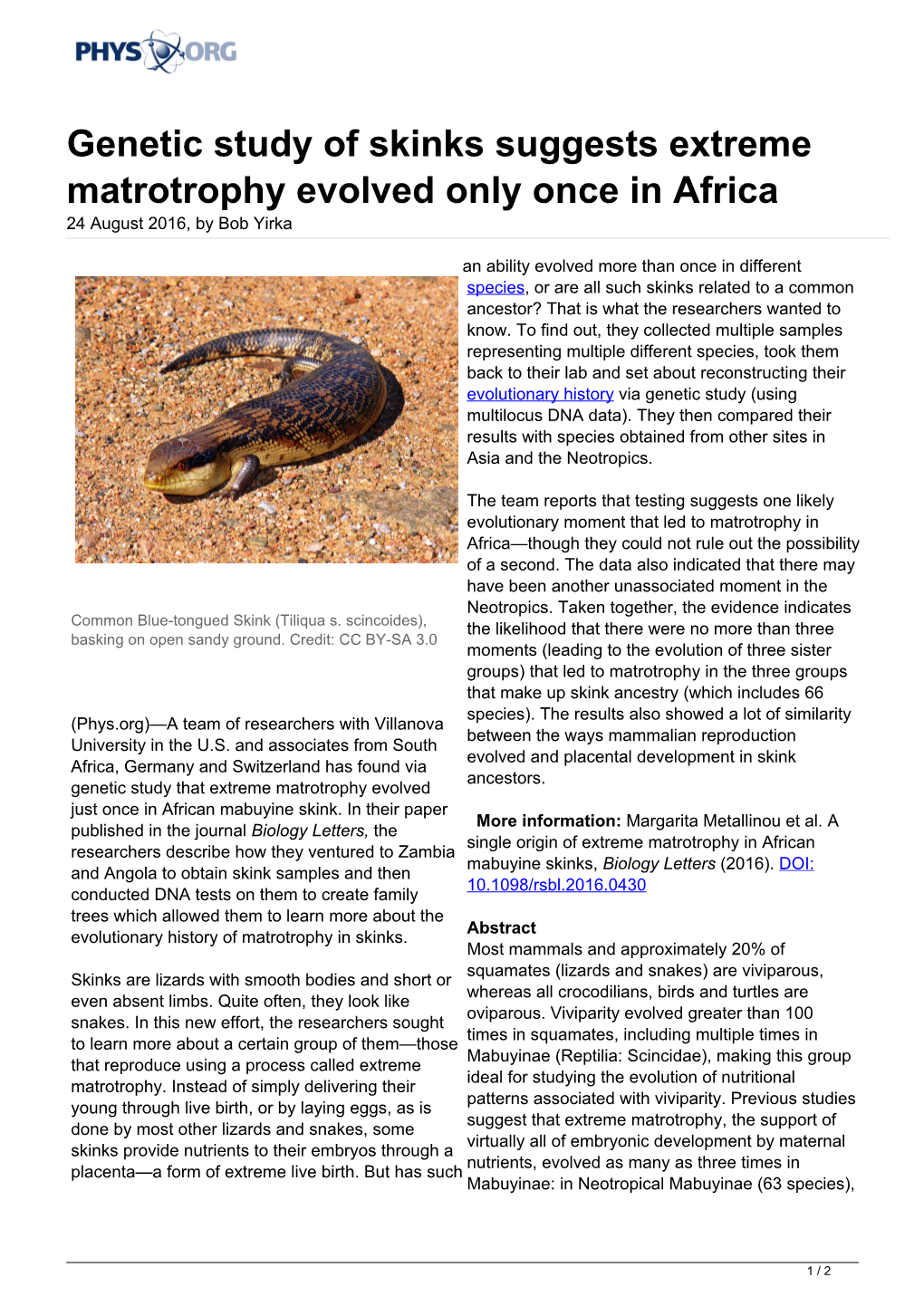 Genetic Study of Skinks Suggests Extreme Matrotrophy Evolved Only Once in Africa 24 August 2016, by Bob Yirka