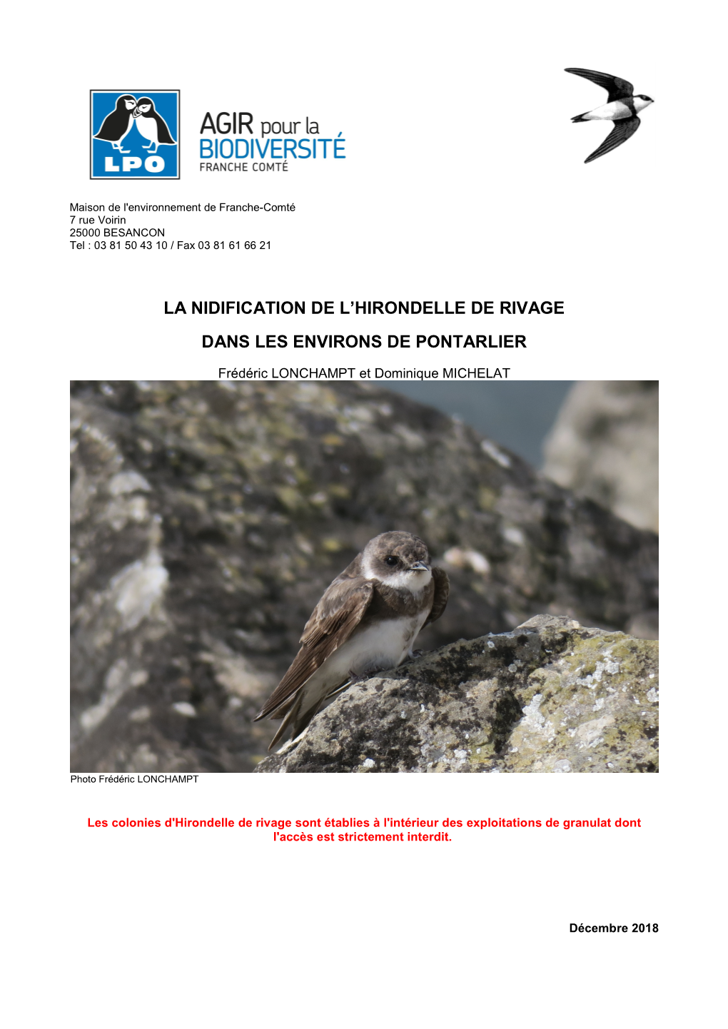 La Nidification De L'hirondelle De Rivage Dans Les Environs De Pontarlier En 2018