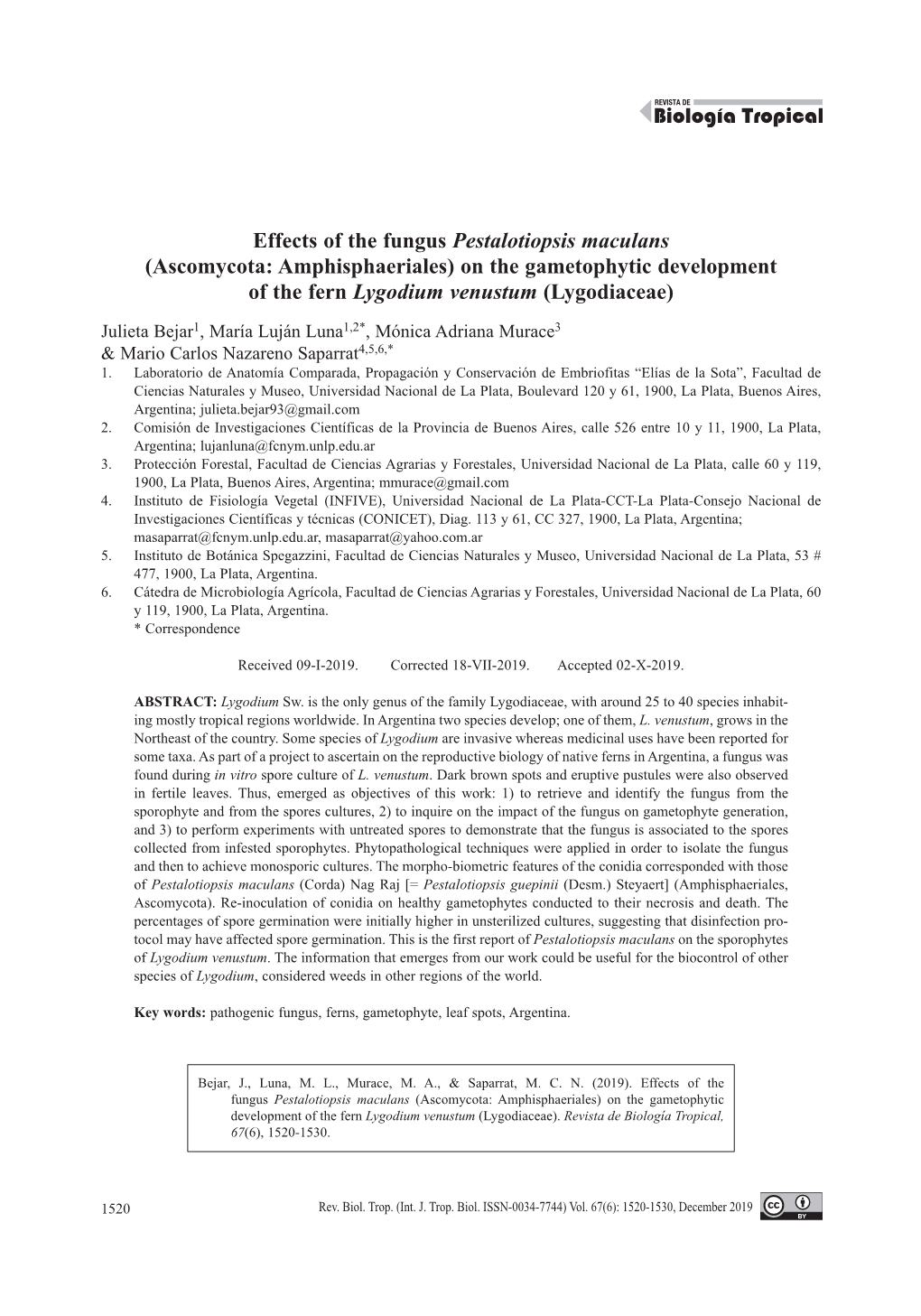 Effects of the Fungus Pestalotiopsis Maculans (Ascomycota: Amphisphaeriales) on the Gametophytic Development of the Fern Lygodium Venustum (Lygodiaceae)