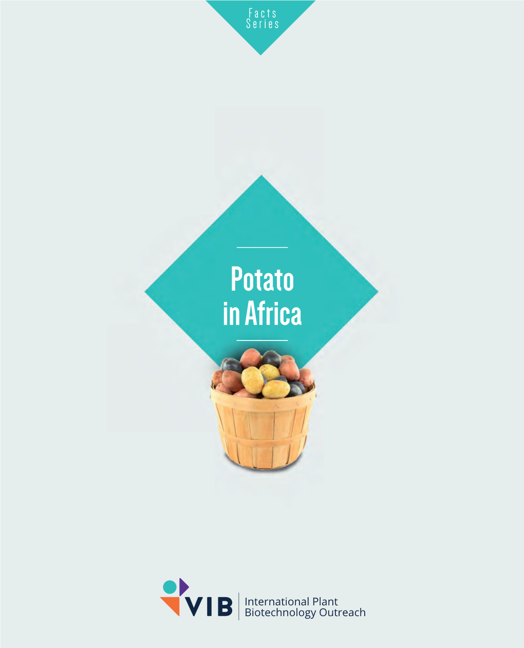 Potato in Africa Summary