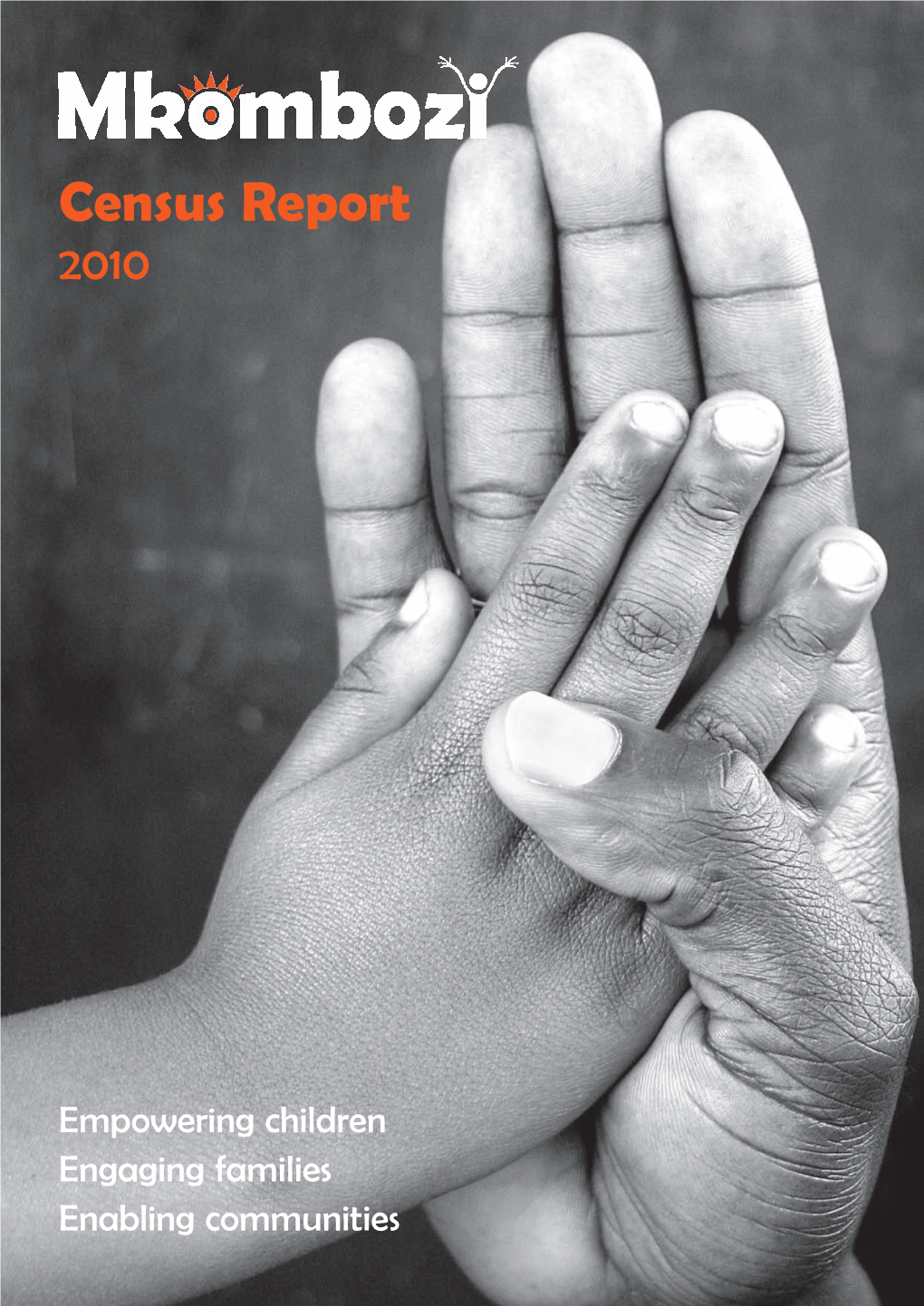 Census Report 2010