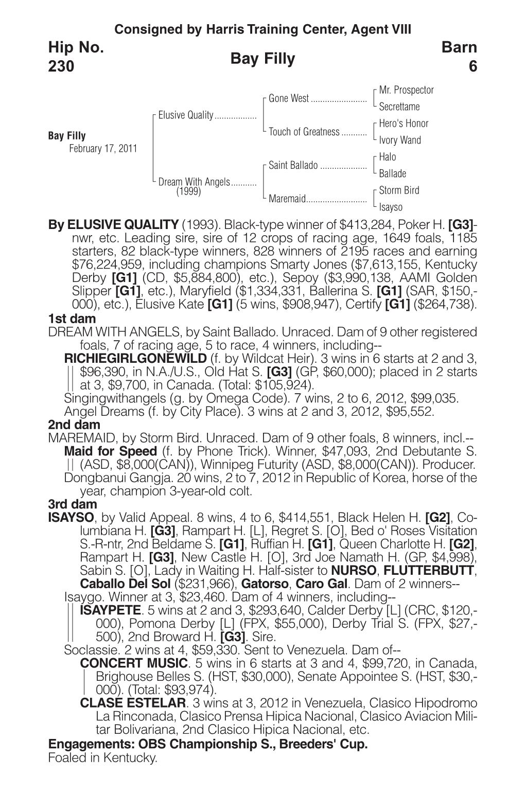 Bay Filly Barn 6 Hip No