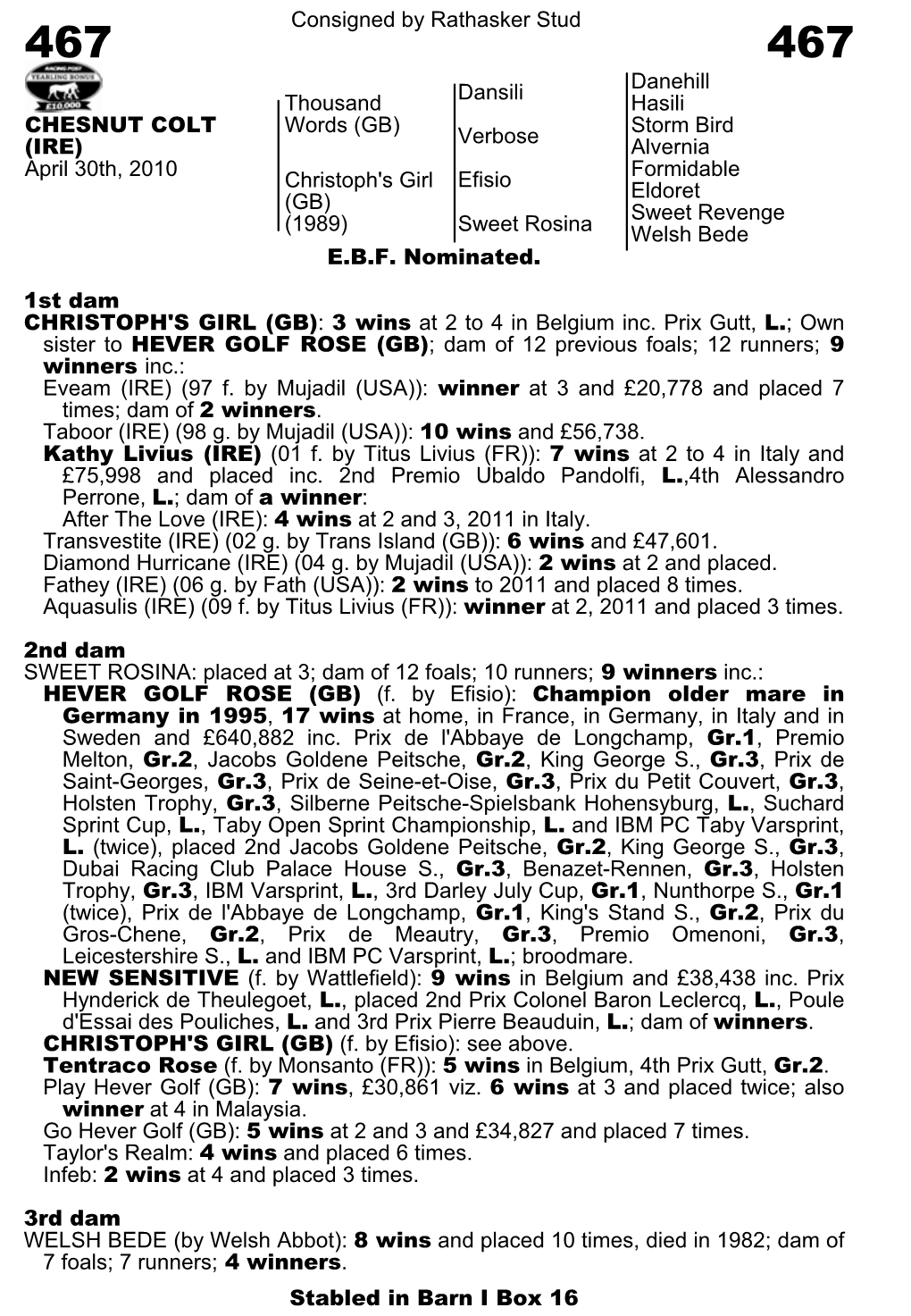 Consigned by Rathasker Stud Dansili Danehill Hasili Thousand