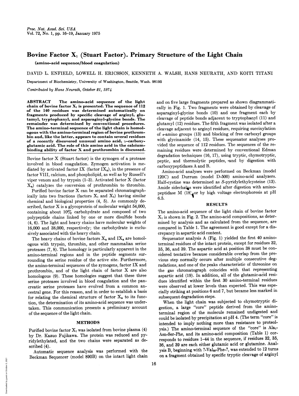 Bovine Factor X1 (Stuart Factor). Primary Structure of the Light Chain (Amino-Acid Sequence/Blood Coagulation) DAVID L