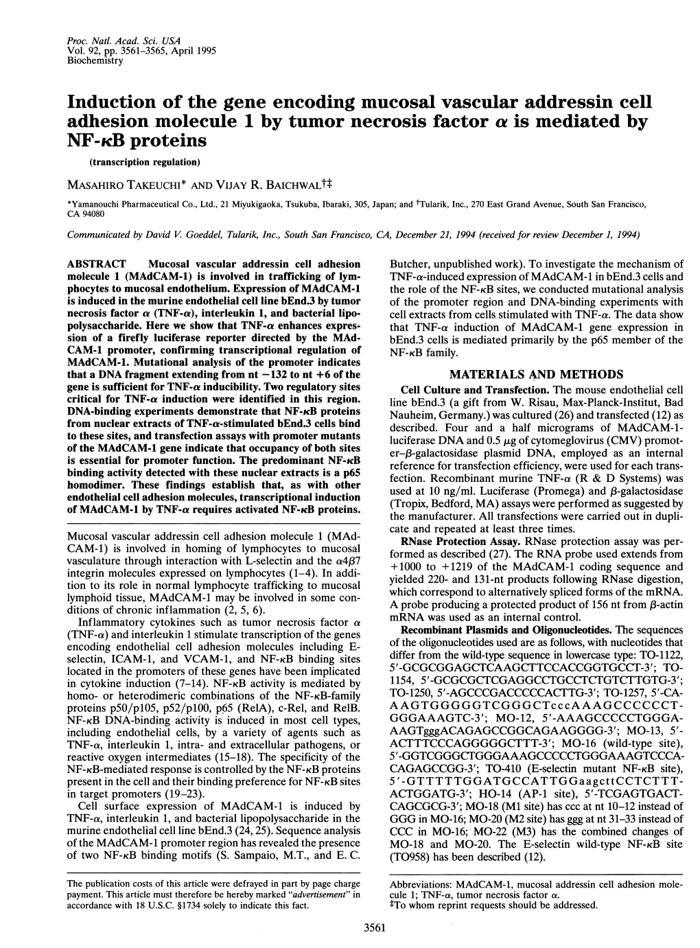 Adhesion Molecule 1 by Tumor Necrosis Factor a Is Mediated by NF-KB Proteins (Transcription Regulation) MASAHIRO TAKEUCHI* and VIJAY R