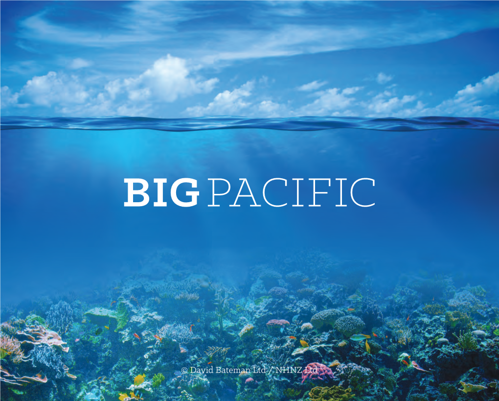 Big Pacific Brochure