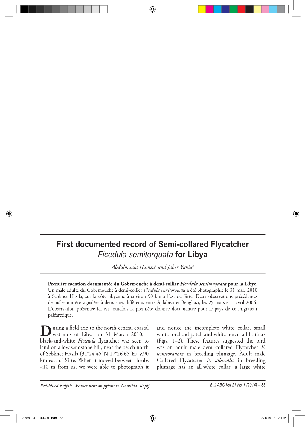 First Documented Record of Semi-Collared Flycatcher Ficedula Semitorquata for Libya Abdulmaula Hamzaa and Jaber Yahiab