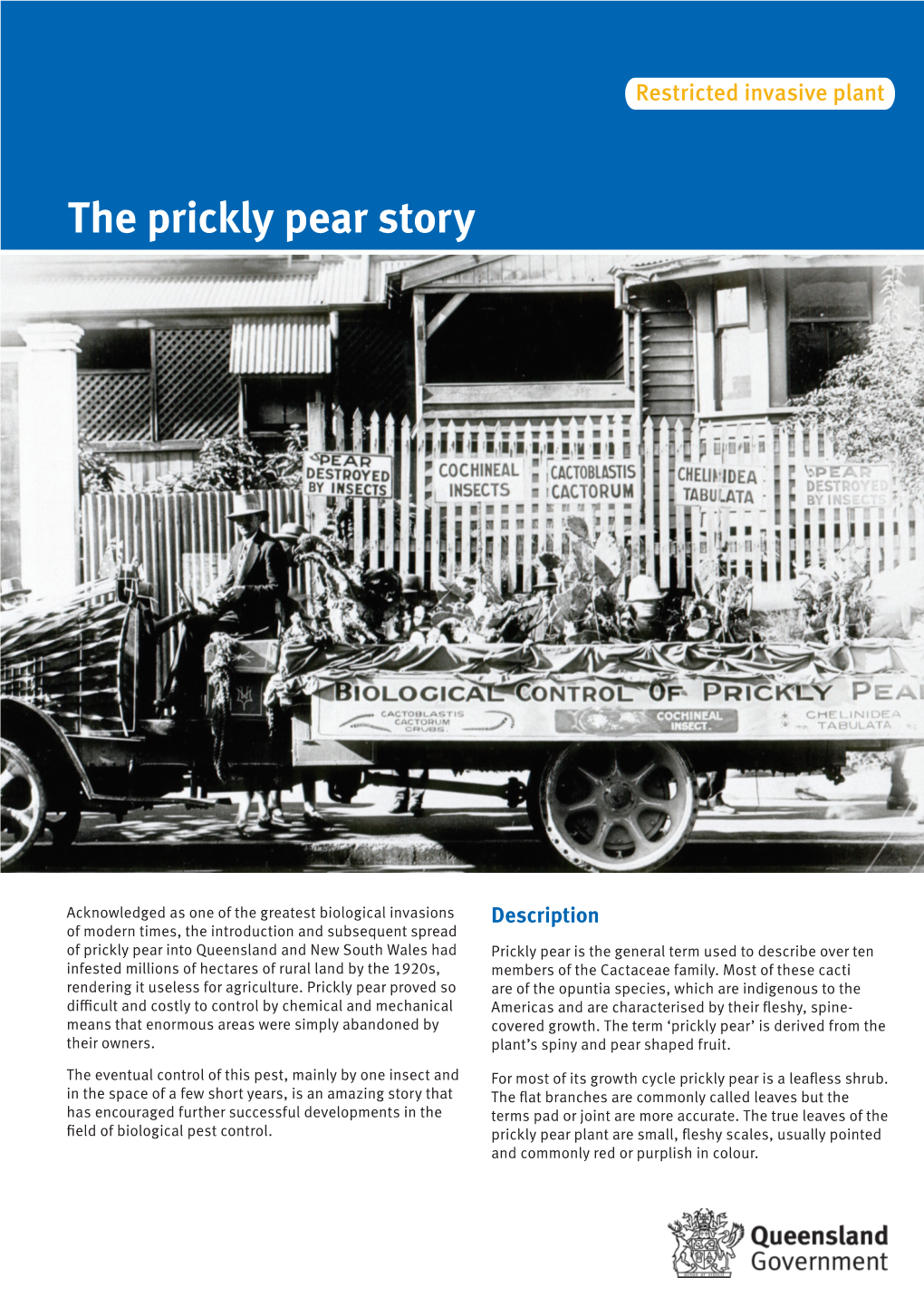 The Prickly Pear Story