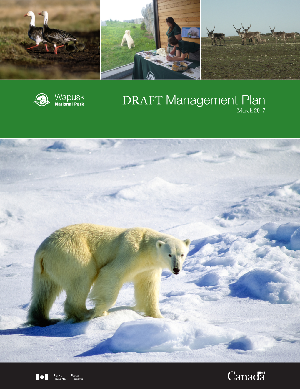 Wapusk Management Plan