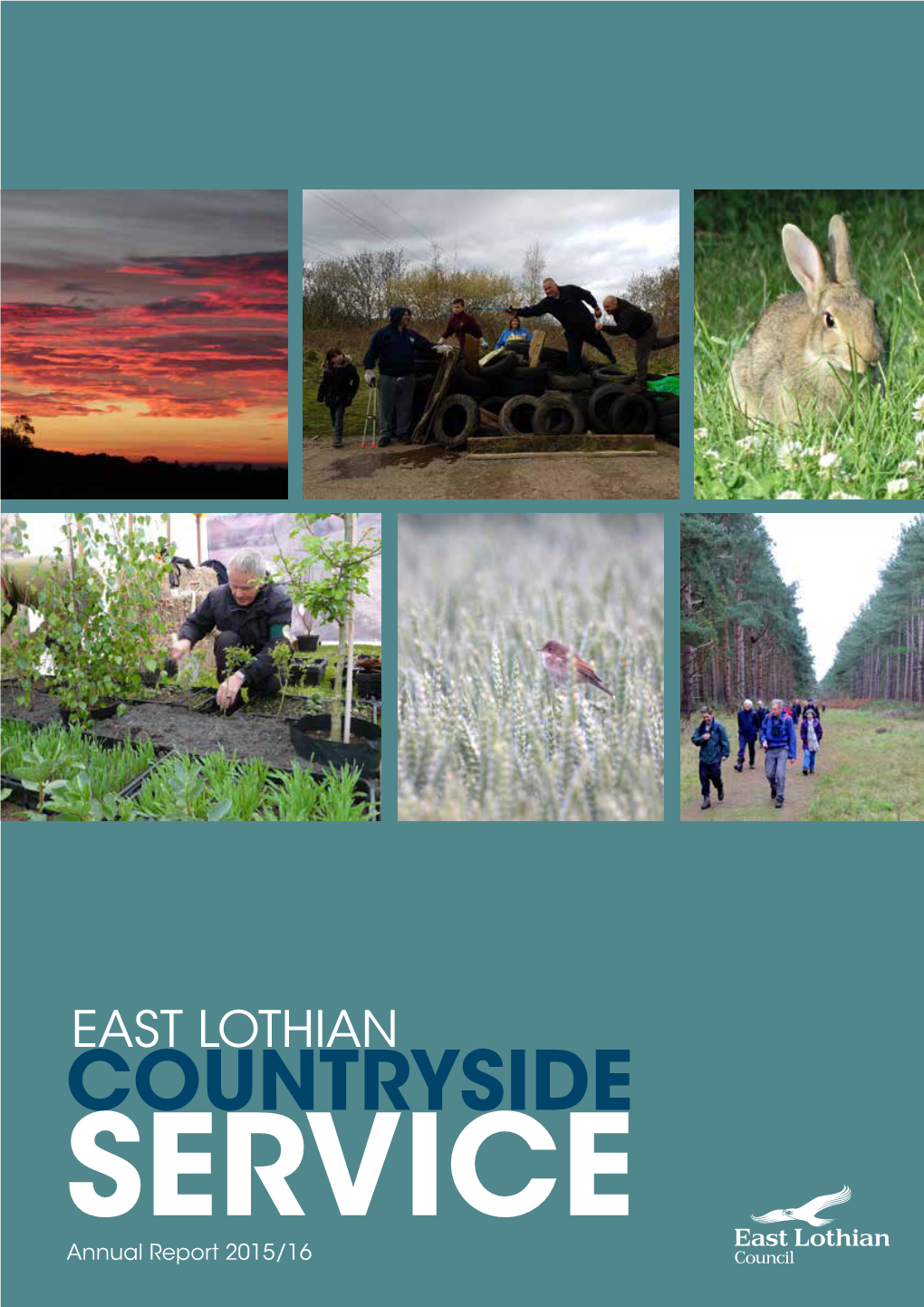 Countryside Annual Report 2015-16